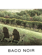 Load image into Gallery viewer, Baco Noir Winemaking Wine Labels
