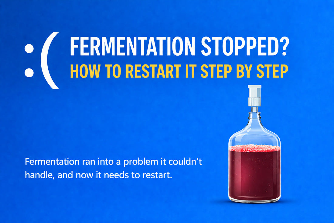 How to Restart Fermentation (Step-by-Step Guide)
