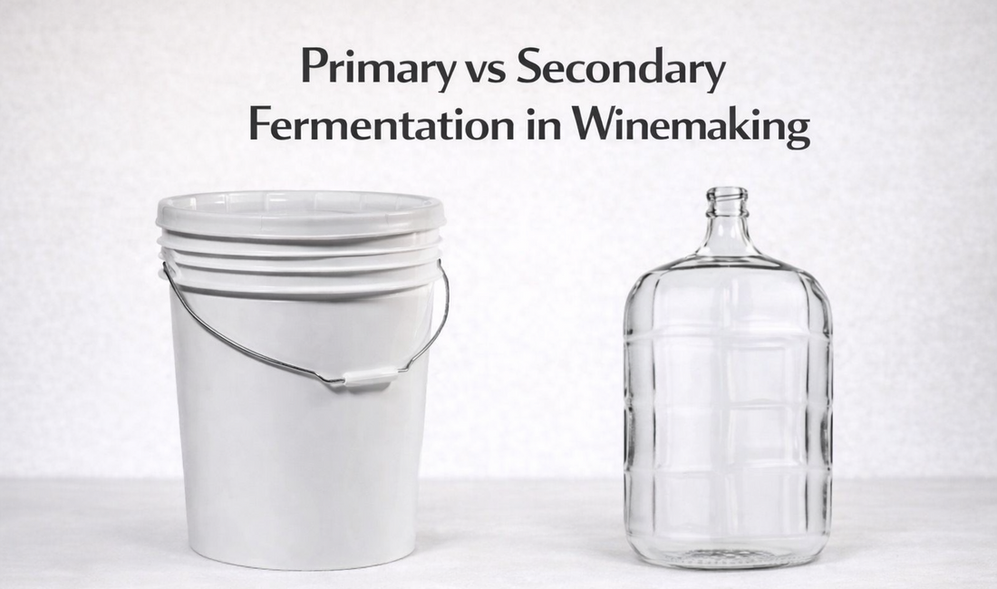 Primary vs secondary fermentation in wine making