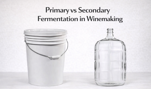 Primary vs secondary fermentation in wine making