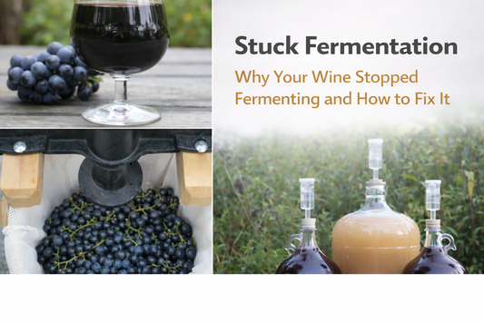 Stuck Fermentation: Why Your Wine Stopped Fermenting and How to Fix It