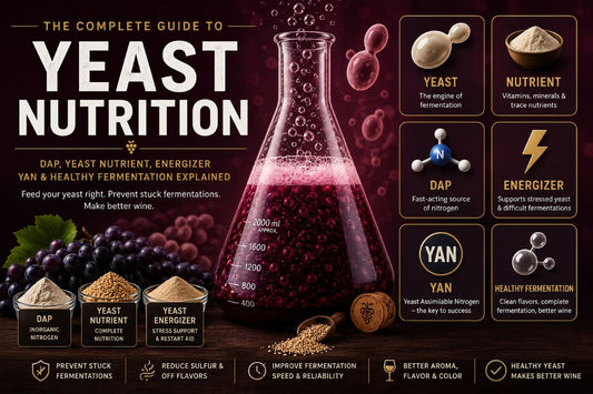 The Complete Guide to Yeast Nutrient - DAP Yeast Nutrient Energizer