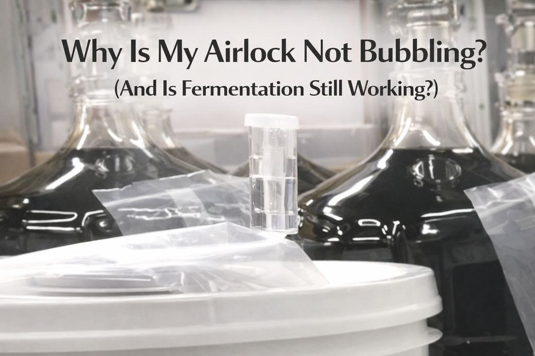 Why Is My Airlock Not Bubbling? (And Is Fermentation Still Working?)
