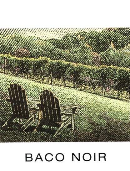 Baco Noir Winemaking Wine Labels